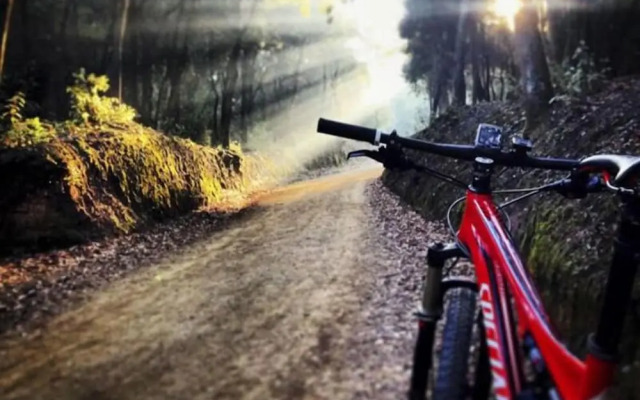 Alojamientos Estrella Rural