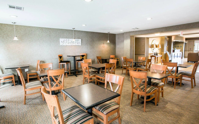 Spark by Hilton Killeen