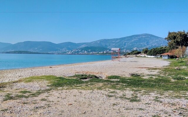 Spacious house with seaview