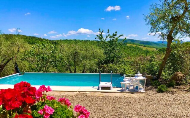 Olivo Castellina in Chianti