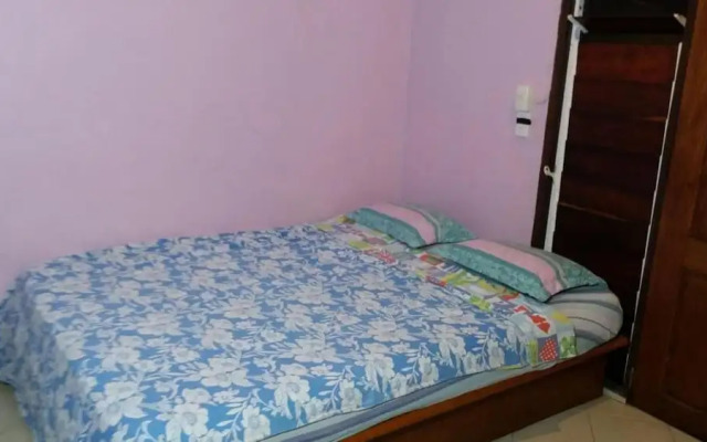 Bluepango Guest House  Hostel