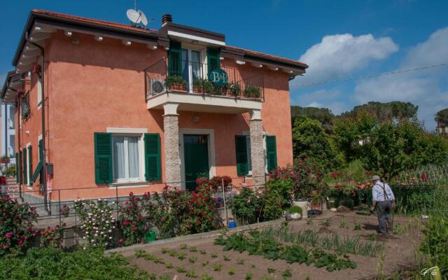 Guest House Arancia145