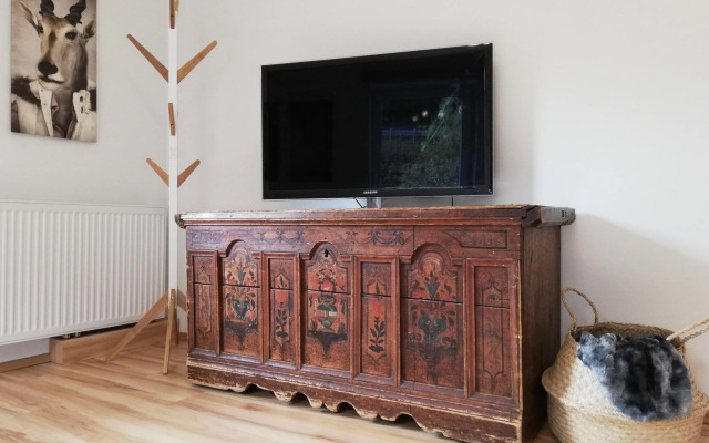 Cosy Apartment in Dienten with mountain view