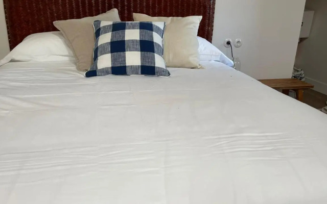 Apartamentos Etxetxu Branka eta Ankora