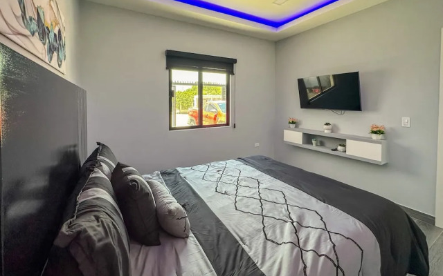 Urban Oasis Apartment 2