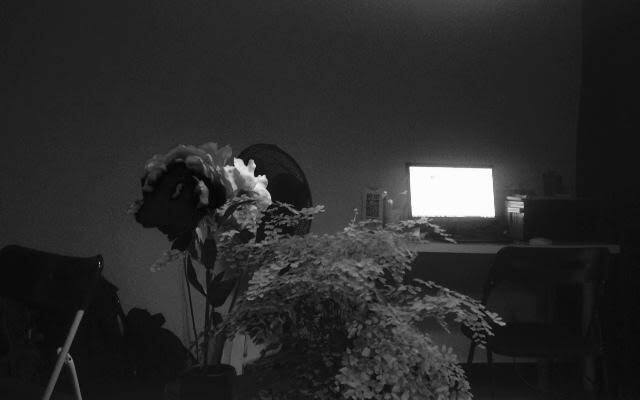 Journey House Youth Hostel