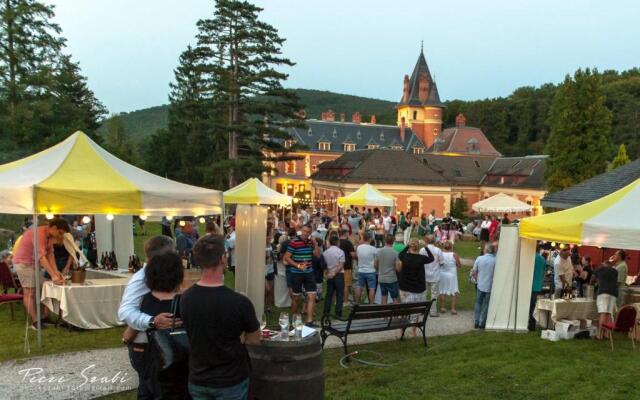 Отель Kastélyhotel Sasvár