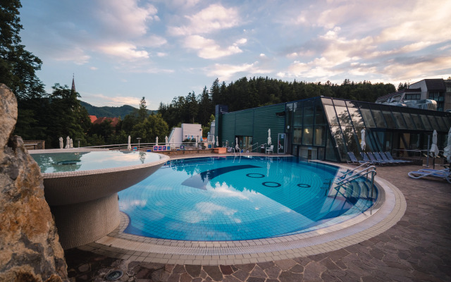 Depandance Hotel Park - Terme Dobrna