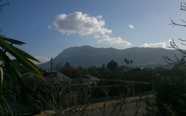 Strandnahes Palmenhaus