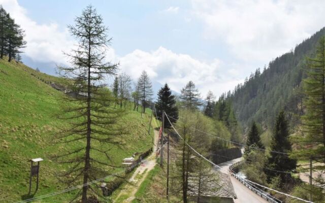 Nido dello Stelvio
