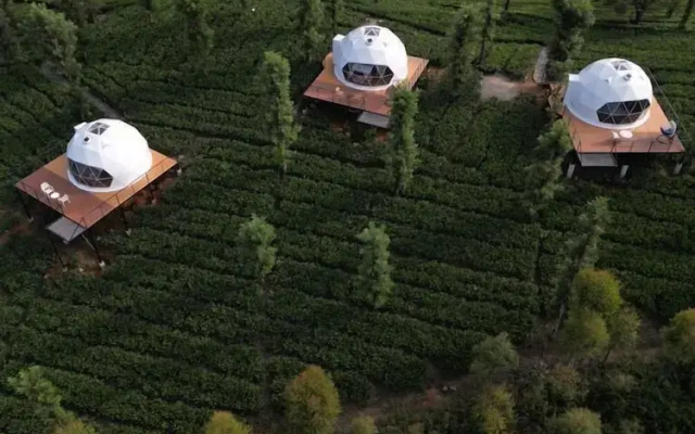 Vythiri Tea Valley