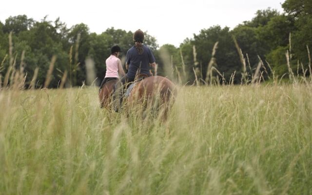 Lucknam Park Hotel & Spa