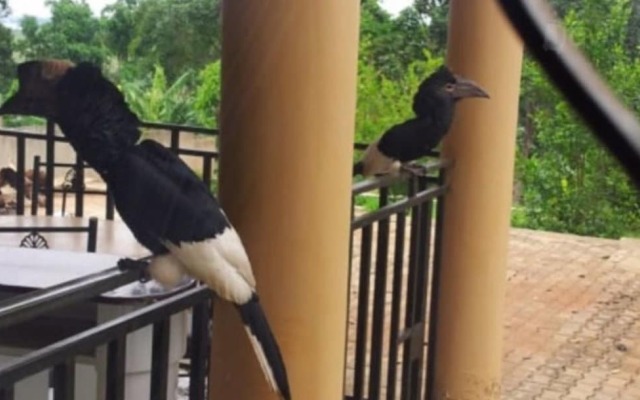 Lake Victoria View Lodge