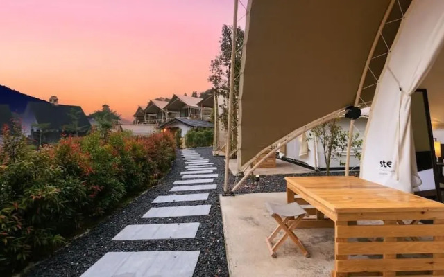 Zen By Stellar Cameron