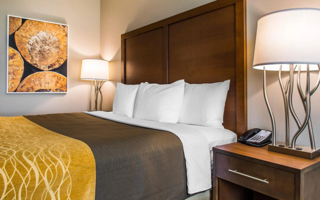 Comfort Inn & Suites Valdosta I-75