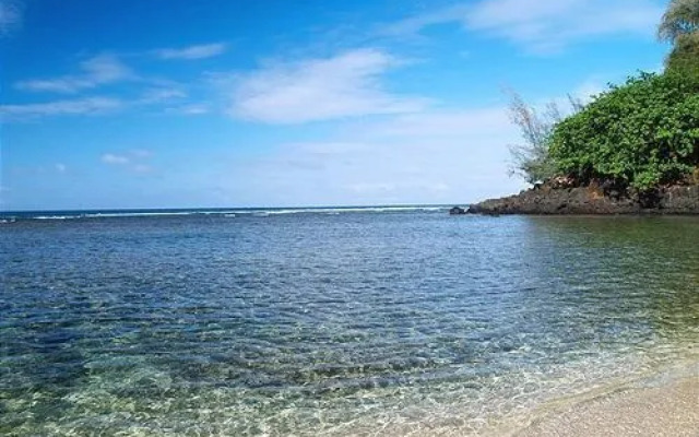 Kamahana 18 by RedAwning