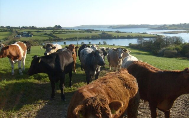 Seafield Farmhouse