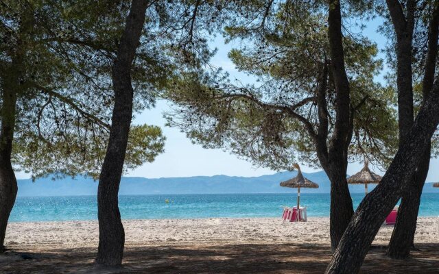 Ferrer Lime Playa de Alcudia