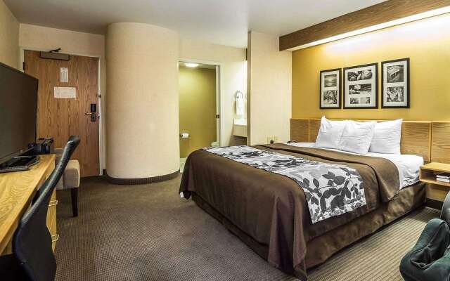 Quality Inn Moab Slickrock Area