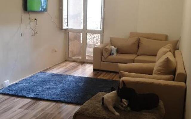 The Sunny Studio