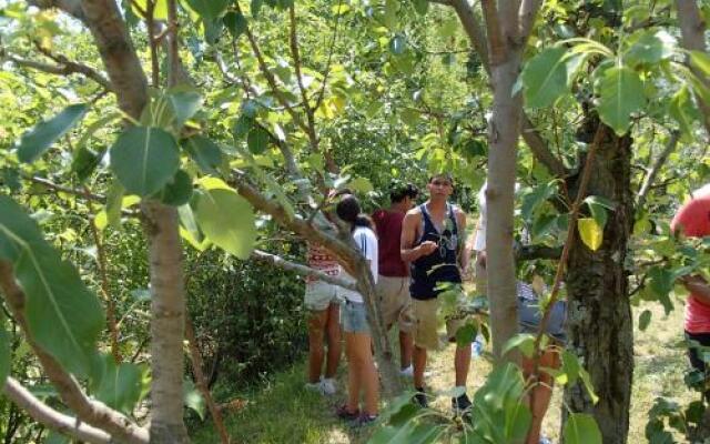 Farm Stay Domacija Butul