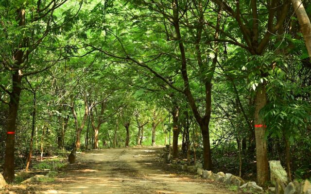 Tigers Heaven Resort