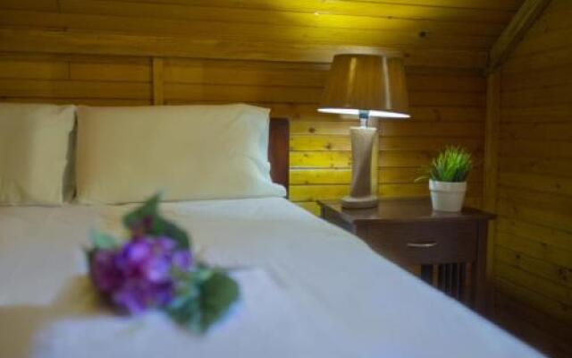 Ricky Chalet Near Troodos