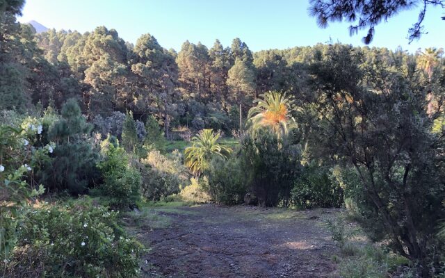 Casa Rural Monte Frío de Tenerife