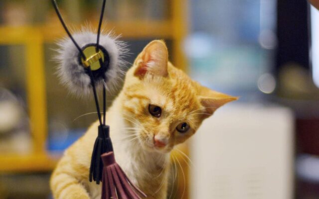 Sai'erde Youth Hostel