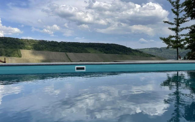 Moselblick am Waldrand