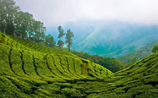 Manjusha Hotels & Resorts
