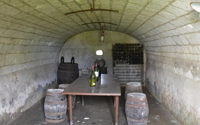 Tasteful Holiday Home in Sormery With Swimming Pool