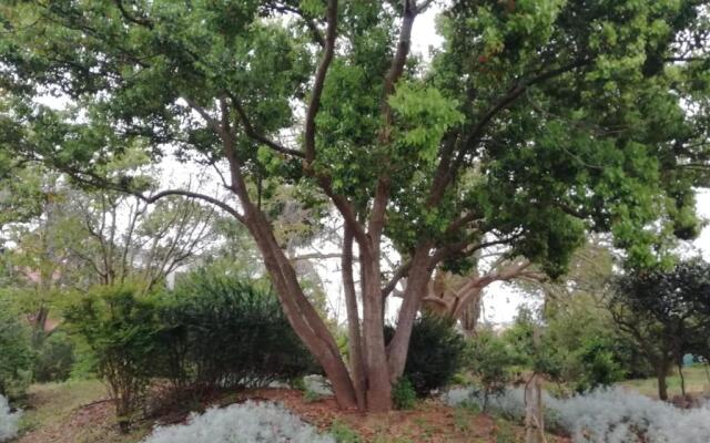 Giardini Irlandesi B&B