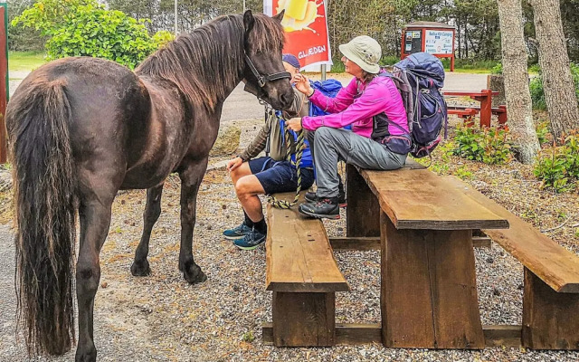 6 Person Holiday Park Home in Pandrup