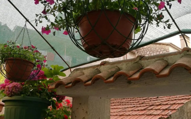 Radun