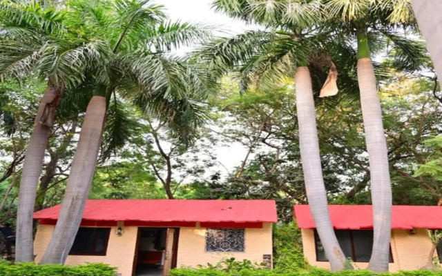 Leopard Lair Ananta Express