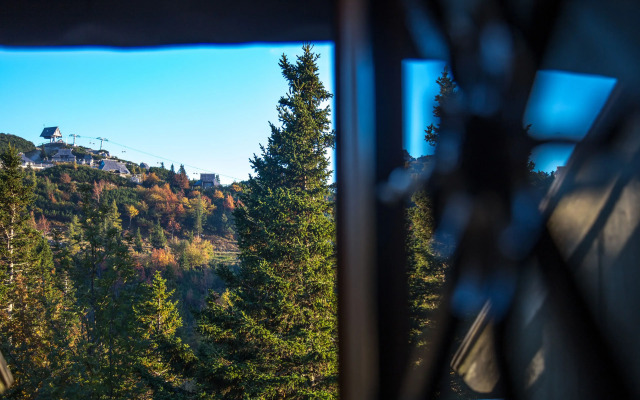 Chalet Tisa Velika Planina