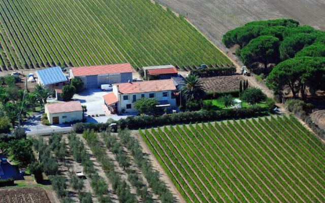 Agriturismo La Rondine