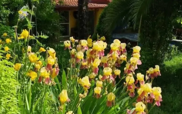 Home & Gardens 2-bed Villa in Sevasti, Katerini