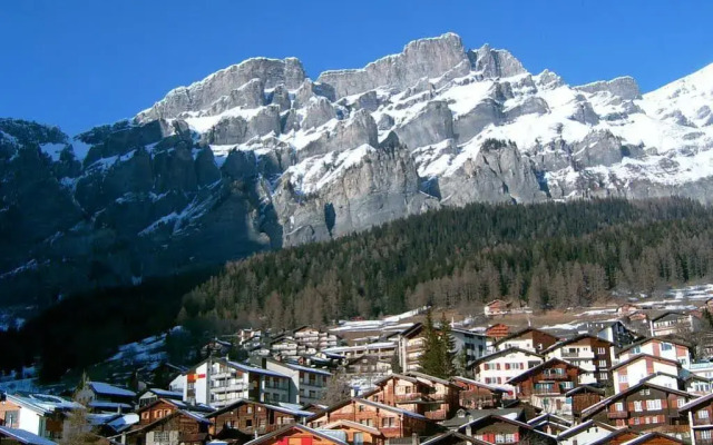 BnB Apartments Steinbock