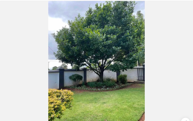 Rueby’s Apartment 101