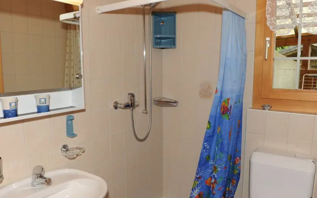 Beautiful Holiday Home in Brienz With Lake View