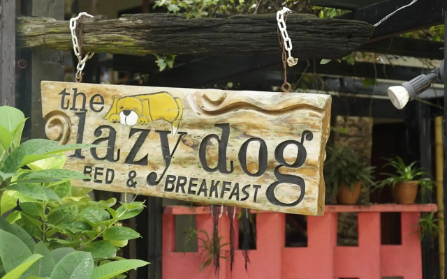 The Lazy Dog Bed & Breakfast