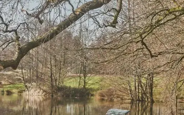 Lakeside Cottage