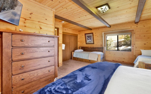 Big Cub Cabin #2521