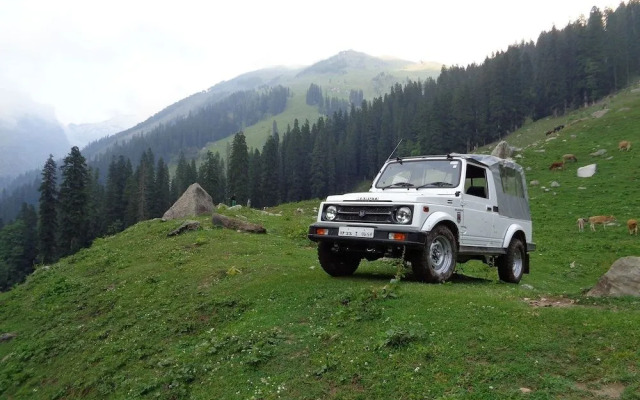 The Himalayan Alpine Resort