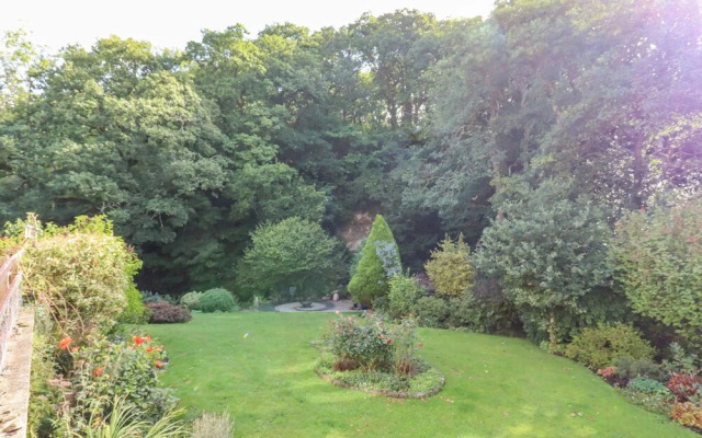 Taw River View