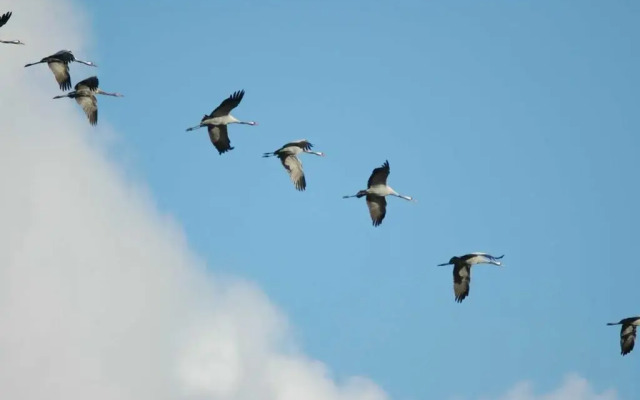 Blockhausferien Rügen - Meerblick