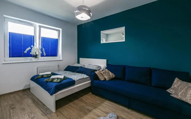 Apartament w centrum V