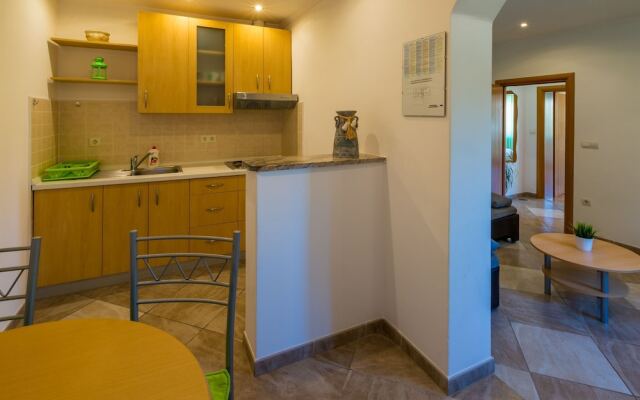 Apartment Nika